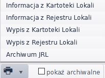 Widok opcji generowania raportów, po najechaniu kursorem na ikonę drukarki 